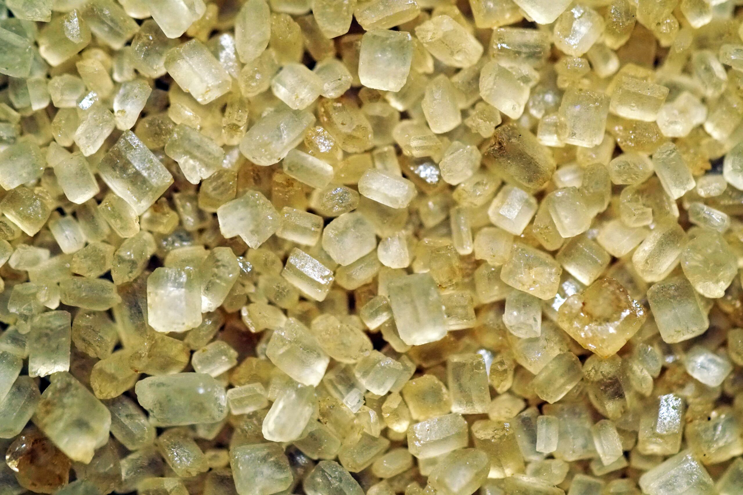 Mastic Extract